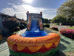 65228472 46EB 4D5F 91A6 6A9F4BB248E3 1684889315 Giant Trex bounce house/waterslide 15’Wx14’Hx34’L