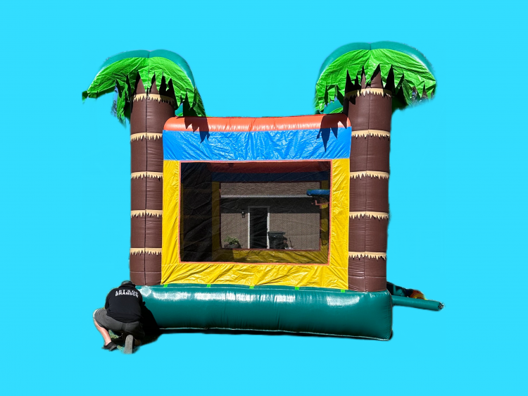 Bounce Houses - Bounce In Paradise